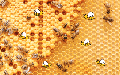 What’s so good about Bees?